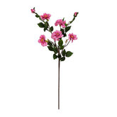 Kyauta Rose Baby Pink Flowers - Home4u